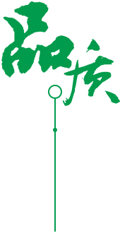 一站式全流程服务