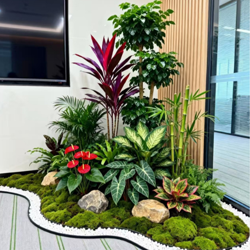 案例展示