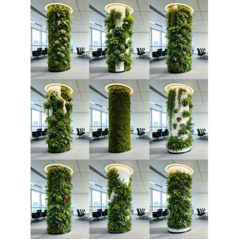 微景观造景及组合盆器造景